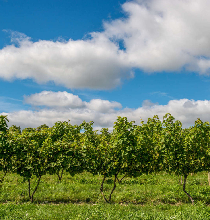 CCN_Geneva_0000_DSC_69752