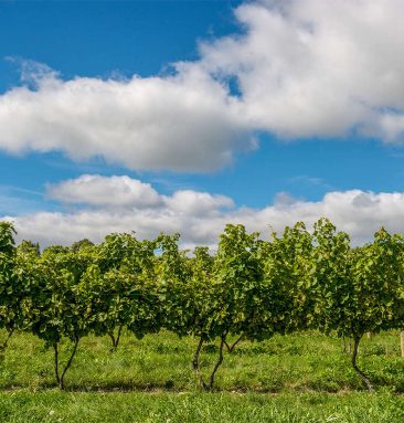 CCN_Geneva_0000_DSC_69752